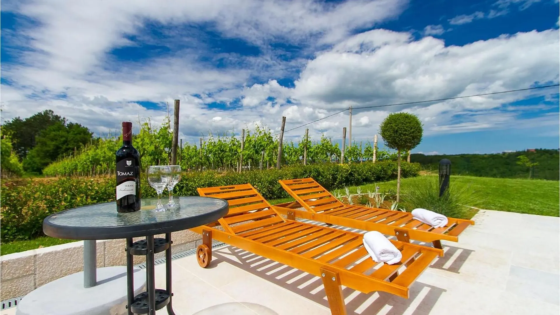 Villa Selar Motovun Croazia