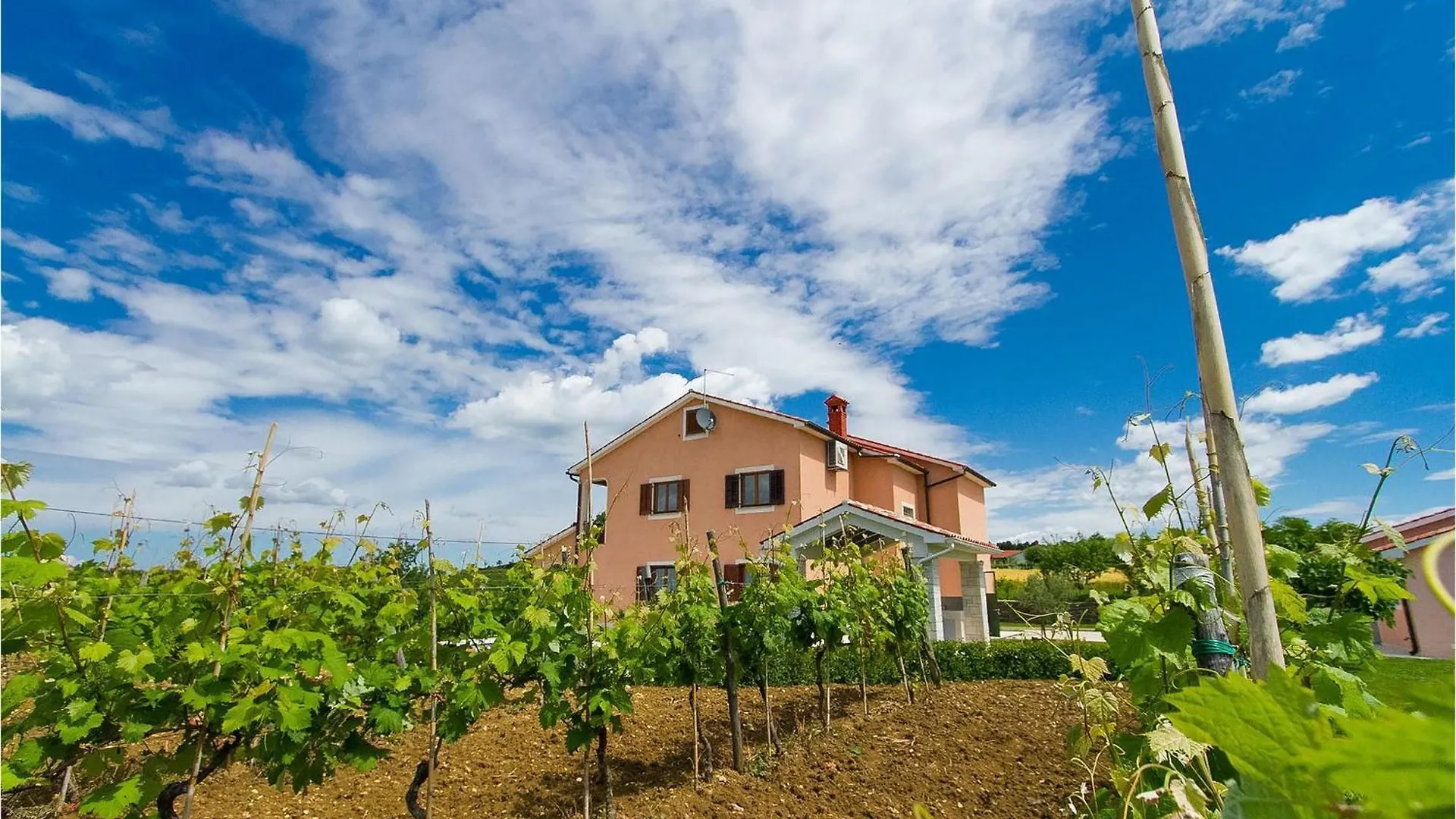 Villa Selar Motovun Casa vacanze